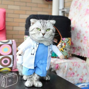 Pet Dog Cat Doctor Costume เสื้อผ้าสุนัขและแมว ชุดคุณหมอ (Size L) Pet Dog Cat Doctor Costume เสื้อผ้าสุนัขและแมว ชุดคุณหมอ (Size L)