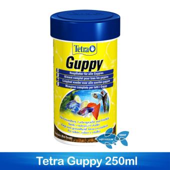 Tetra Guppy 250ml อาหารปลาหางนกยูง Tetra Guppy 250ml อาหารปลาหางนกยูง