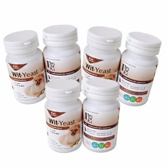 Daisuki Wit-Yeast อาหารเสริมแร่ธาตุ วิตามินบำรุง (6 กระปุก) Daisuki Wit-Yeast อาหารเสริมแร่ธาตุ วิตามินบำรุง (6 กระปุก)