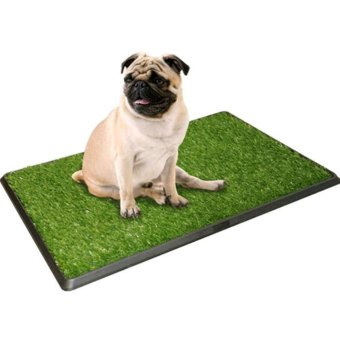 PetZoom ถาดหญ้าเทียมฝึกสุนัขขับถ่าย รุ่น PP-2025 (สีเขียว) PetZoom ถาดหญ้าเทียมฝึกสุนัขขับถ่าย รุ่น PP-2025 (สีเขียว)