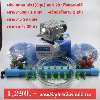 ปั้มออกซิเจน เติมอากาศ HAILEA รุ่น ACO-208 แถมฟรีท่อแยกลม20ช่องและอุปกรณ์พร้อมใช้งาน ปั้มออกซิเจน เติมอากาศ HAILEA รุ่น ACO-208 แถมฟรีท่อแยกลม20ช่องและอุปกรณ์พร้อมใช้งาน