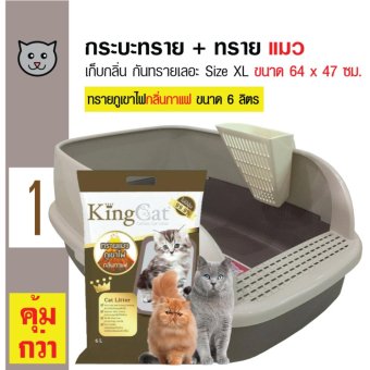 Catidea ห้องน้ำแมว กระบะทรายแมวมีขอบกันทรายเลอะ Size XL ขนาด 64x47 ซม.+ King Cat ทรายแมวภูเขาไฟ ขนาด 6 ลิตร Catidea ห้องน้ำแมว กระบะทรายแมวมีขอบกันทรายเลอะ Size XL ขนาด 64x47 ซม.+ King Cat ทรายแมวภูเขาไฟ ขนาด 6 ลิตร