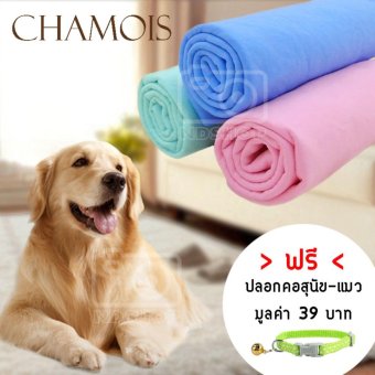 ผ้าชามัวร์เอนกประสงค์ ผ้าเช็ดตัวสุนัข-แมว (3 ผืน)คละสี แถมฟรีปลอกคอสุนัข-แมว (คละลาย) ผ้าชามัวร์เอนกประสงค์ ผ้าเช็ดตัวสุนัข-แมว (3 ผืน)คละสี แถมฟรีปลอกคอสุนัข-แมว (คละลาย)