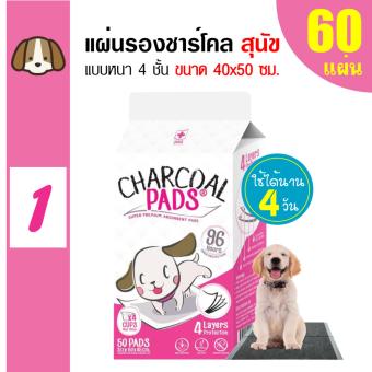Charcoal Pads แผ่นรองซับสัตว์เลี้ยง แผ่นรองฉี่สุนัข 40x50cm (60 แผ่น) Charcoal Pads แผ่นรองซับสัตว์เลี้ยง แผ่นรองฉี่สุนัข 40x50cm (60 แผ่น)
