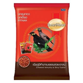 Smartheart อาหารนก นกขุนทอง นกเอี้ยง สูตร เพิ่มภูมิต้านทาน และ ขนสวยเงางาม ถุง 400 กรัม 1 ถุง Mynah Food Enhanced Immunity&Shinny Feather 400g 1 bag Smartheart อาหารนก นกขุนทอง นกเอี้ยง สูตร เพิ่มภูมิต้านทาน และ ขนสวยเงางาม ถุง 400 กรัม 1 ถุง Mynah Food Enhanced Immunity&Shinny Feather 400g 1 bag