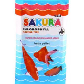 ซากุระคลอโรฟิลด์ 50g ซากุระคลอโรฟิลด์ 50g