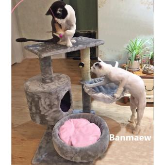 คอนโดแมว catcondo ของเล่นแมว บ้านแมว ที่นอนแมว ของใช้แมว รุ่น Korea Cat สีเทา คอนโดแมว catcondo ของเล่นแมว บ้านแมว ที่นอนแมว ของใช้แมว รุ่น Korea Cat สีเทา