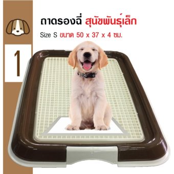 Dog Toilet ห้องน้ำสุนัข ถาดฝึกฉี่ ถาดรองฉี่ Size S ขนาด 50x37x4 ซม Dog Toilet ห้องน้ำสุนัข ถาดฝึกฉี่ ถาดรองฉี่ Size S ขนาด 50x37x4 ซม