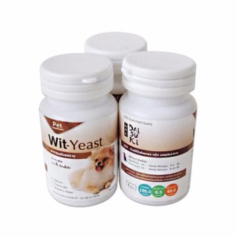 Daisuki Wit-Yeast อาหารเสริมแร่ธาตุ วิตามินบำรุง (3 กระปุก) Daisuki Wit-Yeast อาหารเสริมแร่ธาตุ วิตามินบำรุง (3 กระปุก)