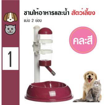 Pet Feeder ชามให้อาหารและน้ำแบบ 2 ช่อง + ขวดน้ำพลาสติก สำหรับสุนัขและแมว Pet Feeder ชามให้อาหารและน้ำแบบ 2 ช่อง + ขวดน้ำพลาสติก สำหรับสุนัขและแมว