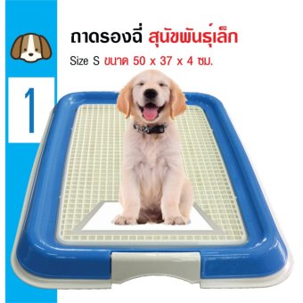 Dog Toilet ห้องน้ำสุนัข ถาดฝึกฉี่ ถาดรองฉี่ Size S ขนาด 50x37x4 ซม Dog Toilet ห้องน้ำสุนัข ถาดฝึกฉี่ ถาดรองฉี่ Size S ขนาด 50x37x4 ซม