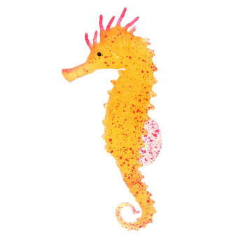 ปลาปลาม้าน้ำ Hippocampus ประดับตู้ปลาการตกแต่งแมงกะพรุนส้ม ปลาปลาม้าน้ำ Hippocampus ประดับตู้ปลาการตกแต่งแมงกะพรุนส้ม