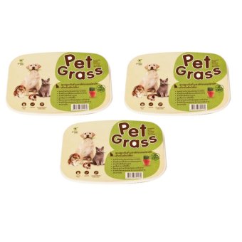 Pet Grassชุดปลูกต้นข้าวสาลีอ่อนออร์แกนิค3ถาด Pet Grassชุดปลูกต้นข้าวสาลีอ่อนออร์แกนิค3ถาด