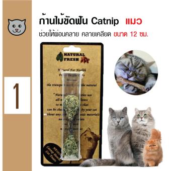 Catwant Catnip Stick ก้านไม้ขัดฟัน ตำแยแมว กัญชาแมว ขนมแมว ของเล่นแมว ขนาด 12 ซม. Catwant Catnip Stick ก้านไม้ขัดฟัน ตำแยแมว กัญชาแมว ขนมแมว ของเล่นแมว ขนาด 12 ซม.