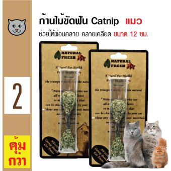 Catwant Catnip Stick ก้านไม้ขัดฟัน ตำแยแมว กัญชาแมว ขนมแมว ของเล่นแมว ขนาด 12 ซม. x 2 ชิ้น Catwant Catnip Stick ก้านไม้ขัดฟัน ตำแยแมว กัญชาแมว ขนมแมว ของเล่นแมว ขนาด 12 ซม. x 2 ชิ้น