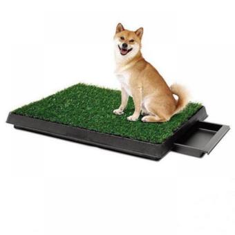 PetZoom PetZoom ถาดหญ้าเทียมฝึกสุนัขขับถ่ายแบบลิ้นชัก รุ่น PP-2025D (สีเขียว ) PetZoom PetZoom ถาดหญ้าเทียมฝึกสุนัขขับถ่ายแบบลิ้นชัก รุ่น PP-2025D (สีเขียว )