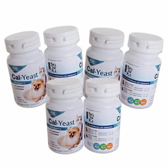Daisuki Cal-Yeast อาหารเสริมแร่ธาตุ แคลเซียมบำรุง (6 กระปุก) Daisuki Cal-Yeast อาหารเสริมแร่ธาตุ แคลเซียมบำรุง (6 กระปุก)