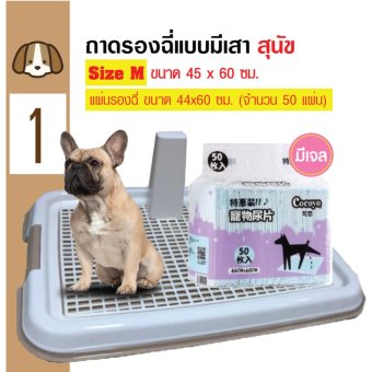 Dog Toilet ถาดฝึกฉี่ ถาดรองฉี่ ห้องน้ำสุนัข แบบมีเสา Size M 45x60 ซม. + Cocoyo แผ่นรองซับสัตว์เลี้ยง แผ่นรองฉี่สุนัข แบบมีเจล ไซท์เล็ก 44x60cm (50 แผ่น) Dog Toilet ถาดฝึกฉี่ ถาดรองฉี่ ห้องน้ำสุนัข แบบมีเสา Size M 45x60 ซม. + Cocoyo แผ่นรองซับสัตว์เลี้ยง แผ่นรองฉี่สุนัข แบบมีเจล ไซท์เล็ก 44x60cm (50 แผ่น)