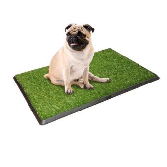 PetZoom ถาดหญ้าเทียมฝึกสุนัขขับถ่าย (สำหรับสุนัขพันธุ์เล็ก) PetZoom ถาดหญ้าเทียมฝึกสุนัขขับถ่าย (สำหรับสุนัขพันธุ์เล็ก)