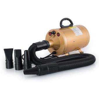 DJSHOP DOG ไดร์เป่าขนสุนัข ไดร์ไล่น้ำ เครื่องเป่าขนสุนัข พลัง turbo(สีทอง) DJSHOP DOG ไดร์เป่าขนสุนัข ไดร์ไล่น้ำ เครื่องเป่าขนสุนัข พลัง turbo(สีทอง)