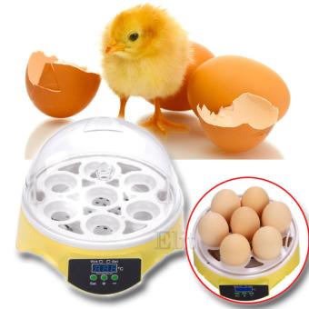 Elit เครื่องฟักไข่ไก่ ไข่เป็ด อัตโนมัติ ปรับอุณหภูมิด้วยระบบดิจิตอล 220V Egg incubator Elit เครื่องฟักไข่ไก่ ไข่เป็ด อัตโนมัติ ปรับอุณหภูมิด้วยระบบดิจิตอล 220V Egg incubator
