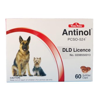 Vetz Petz Antinol อาหารเสริมบำรุงข้อสำหรับสุนัข บรรจุ 60 caps Vetz Petz Antinol อาหารเสริมบำรุงข้อสำหรับสุนัข บรรจุ 60 caps