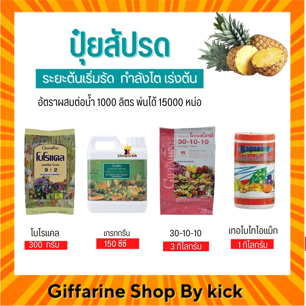 [ส่งฟรี] ปุ๋ย กิฟฟารีน ปุ๋ยทางใบ ปุ๋ยสัปรด ระยะต้นเริ่มรัด กำลังโต เร่งต้น Giffarine ราคา 1,980 บาท*ส่งฟรี