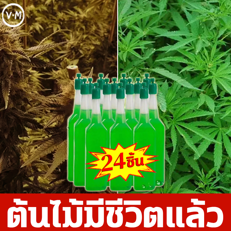 ราคาถูกสุด Verano ปุ๋ยน้ำ ปุ๋ยเร่งโตเร็ว ฮอร์โมนทางใบ ปุ๋ยน้ำเร่งโต 24 ชิ้น ปุ๋ยเร่ง เร่งใบ ราก และลำต้น ปุ๋ยไฮโดรโปนิกส์ ต้นไม้ตายแล้วฟื้น ขนาด 38 ML ปุ๋ยบำรุงต้นใบ ปุ๋ยเกล็ดทางใบ ปุ๋ยน้ำทางใบ ปุ๋ยน้ำออแกนิค ฮอโมนพืชทางใบ ยูเรียน้ำ