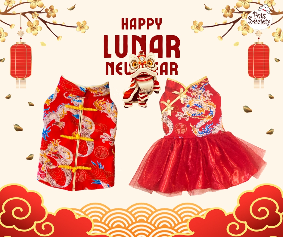 New Chinese Style Xianxia Costume - Red Spider Liles 曼蛛丝语 (Preorder)