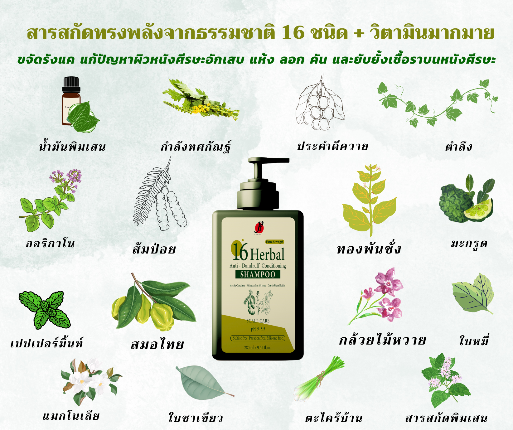 แชมพูขจัดรังแค จากสมุนไพรไทยและเกาหลี 16 ชนิด ยาสระผมขจัดรังแค ได้เคลียร์ หมด