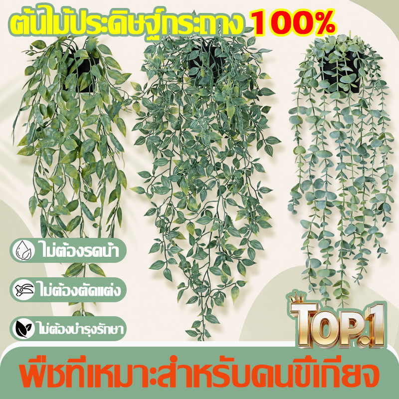 ต้นไม้ประดิษฐ์ พืชปลอม ไม่ต้องดูแลอะไรเลย คุณภาพสูง มีให้เลือกหลากหลายแบบ ตกแต่งบ้าน คุณภาพสูง วัสดุคุณภาพเยี่ยม พวงมาลัย พืชประดิษฐ์สีเขียว ใบเถาพรรคแขวนตกแต่งดอกไม้ปลอม