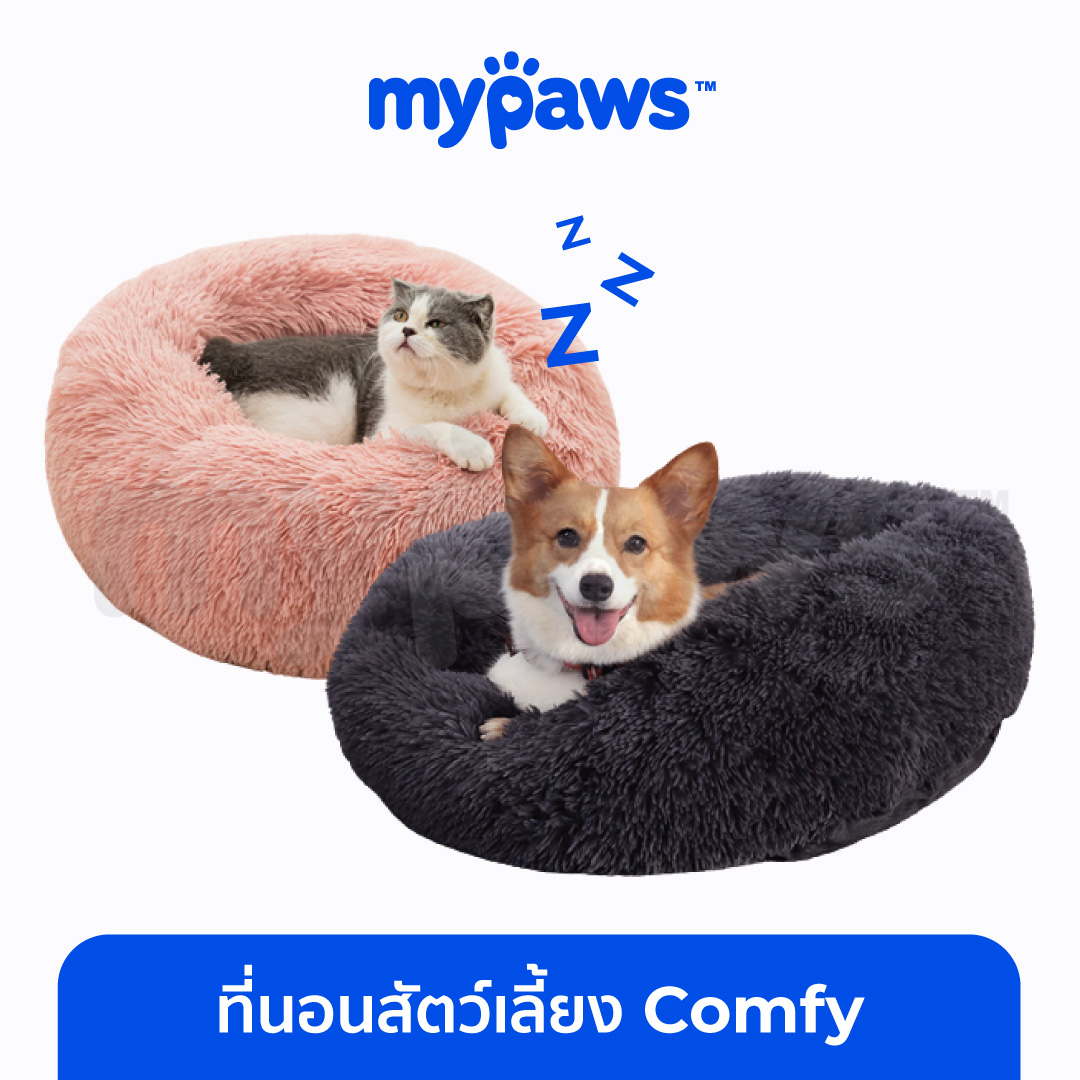 Jolly Paws Quilted Blanket NCU0VH529