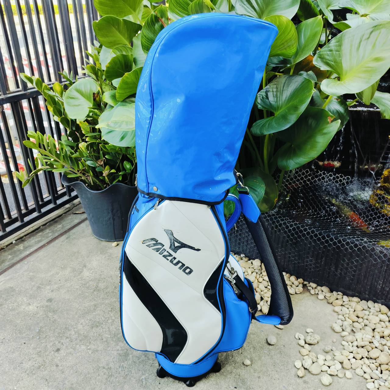 ถุงกอล์ฟ MIZUNO มือสอง ของแท้ สีน้ำเงินเอกลักษณ์ของ MIZUNO เลย วัสดุหนังแก้วสวยมาก ดูแลรักษาง่าย ราคา 2,899 บาท*ส่งฟรี