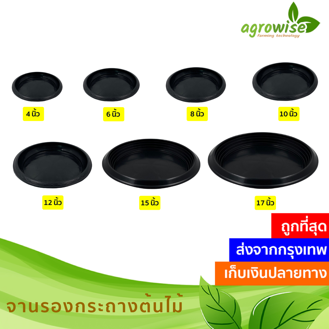 จานรองกระถาง จานรองกระถางต้นไม้ จานรอง 8 นิ้ว 6 นิ้ว 12 นิ้ว สีดำ 10 นิ้ว 4 นิ้ว