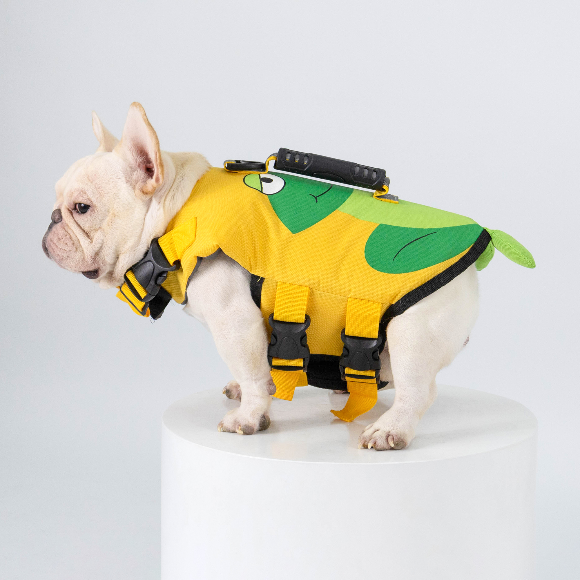 เสื้อชูชีพสัตว์เลี้ยง - ลายกบ Life jacket | Clawset.bkk ราคา 650 บาท*ส่งฟรี
