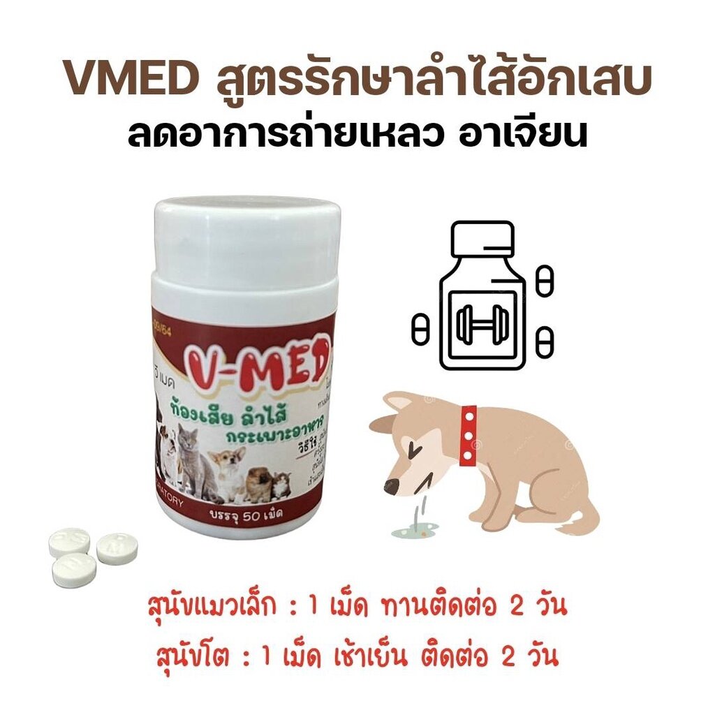V รักษาท้องเสีย-ลำไส้อักเสบสุนัขและแมว ถ่ายเหลว (1 ชุด 3 เม๊ด)