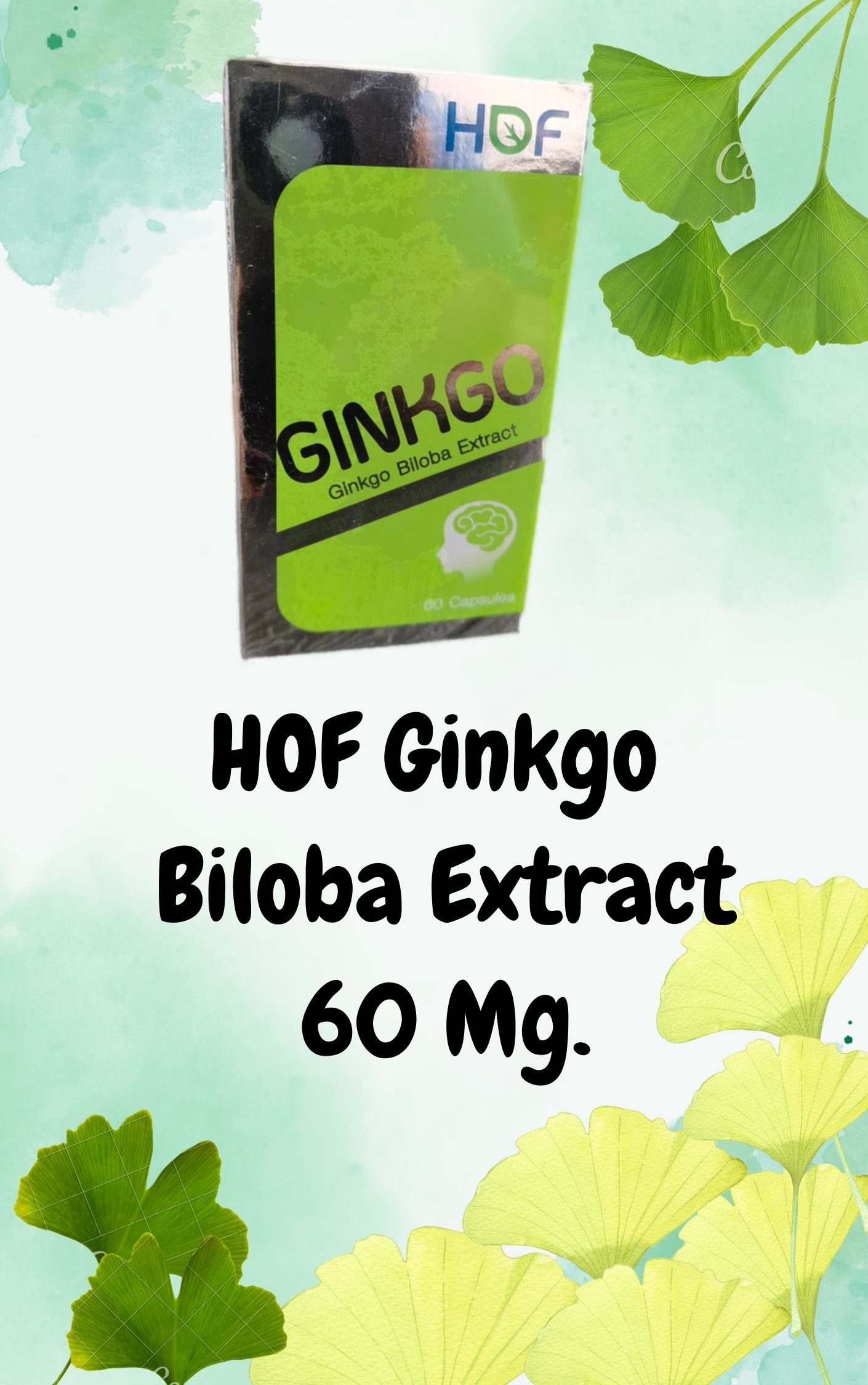 ผลิตภัณฑ์เพื่อสุขภาพและอุปกรณ์ทางการแพทย์ Pharmahof HOF Ginkgo 60mg ผลิตภัณฑ์เสริมอาหาร สารสกัดจากใบแปะก๊วย (60 แคปซูล) ราคา 324 บาท*ส่งฟรี