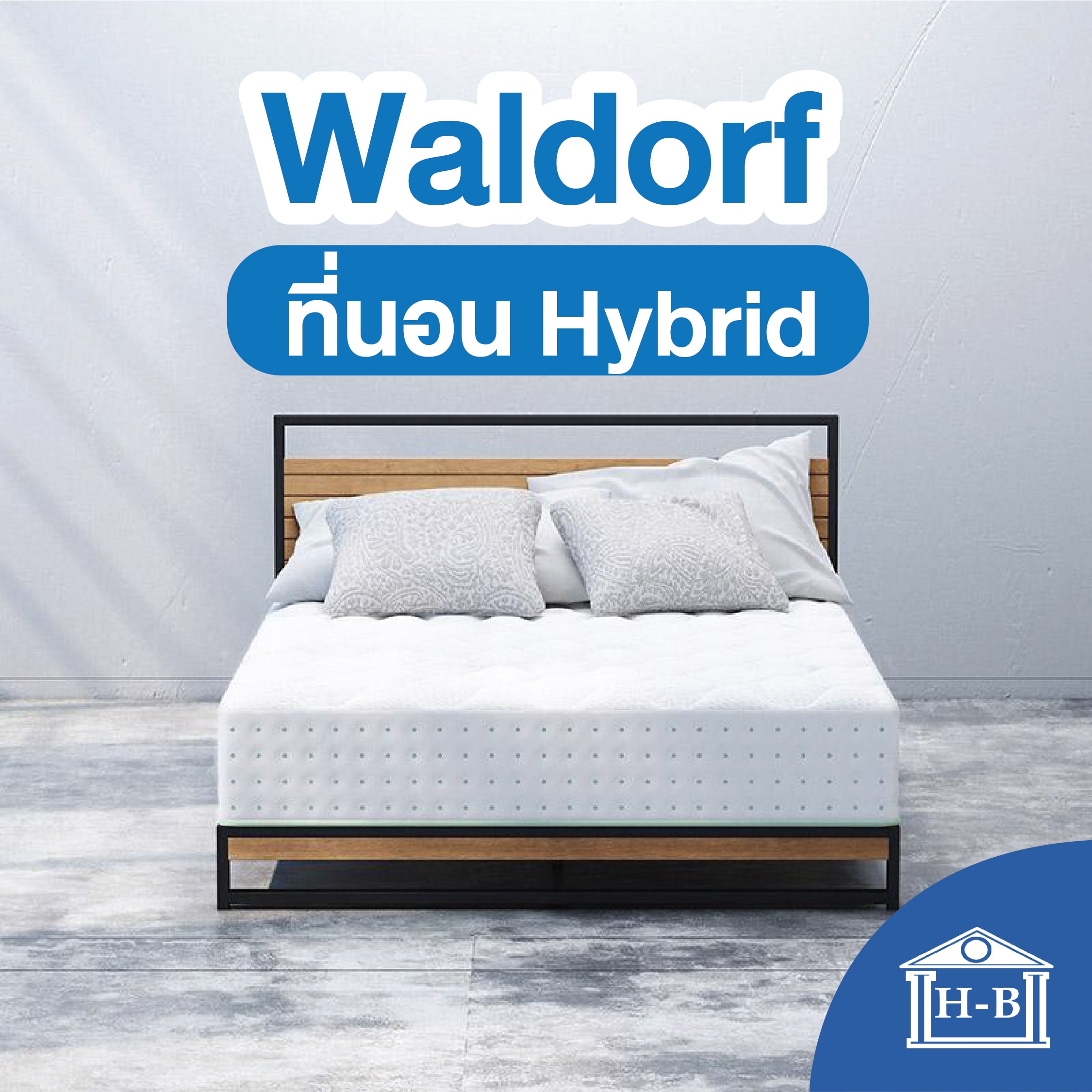 Home Best ที่นอนสปริงเสริมยางพารา 9นิ้ว รุ่น Waldorf หุ้มผ้านุ่ม Pure Cotton ที่นอน ราคาคุ้มค่า ที่นอนสปริง mattress ราคา 1,999 บาท*ส่งฟรี