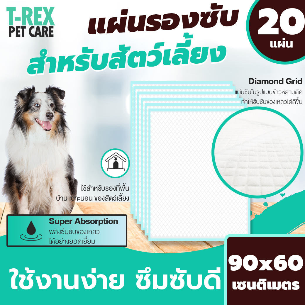 แผ่นรองซับสุนัข และ  สัตว์เลี้ยง แผ่นซับปัสสาวะ ฉี่ สุนัข Pet Urine Pad ดูดซับของเหลว ปัสสาวะ ได้ดี สามารถเลือกได้ 2 ขนาด