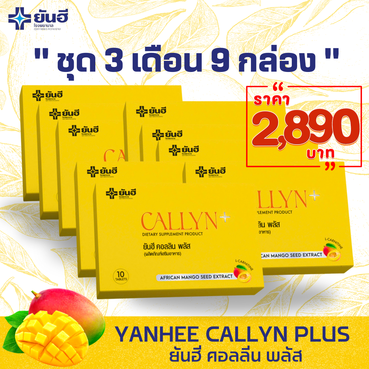 Yanhee Callyn Plus ชุด 3 เดือน 9 กล่อง 90 เม็ด ยันฮี คอลลินพลัส ลดน้ำหนัก ลดพุง สลายไขมัน คุมหิวอิ่มนาน ราคา 2,890 บาท*ส่งฟรี