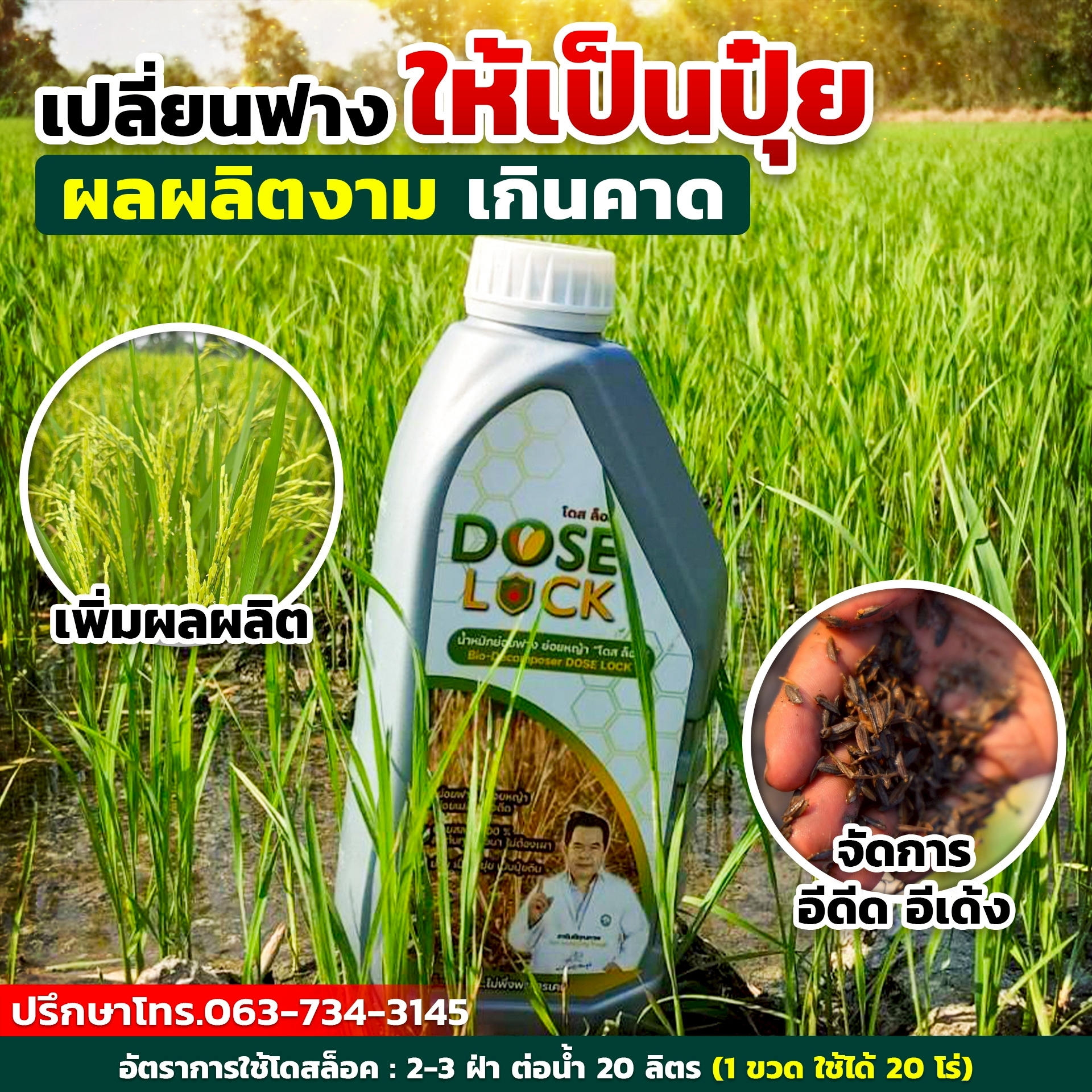 [สินค้าใหม่] DOSE LOCK โดส ล็อค ช่วยลดจำนวนข้าวดีด ข้าวเด้ง และช่วยย่อยสลายฟาง ตอซัง ราคา 890 บาท*ส่งฟรี