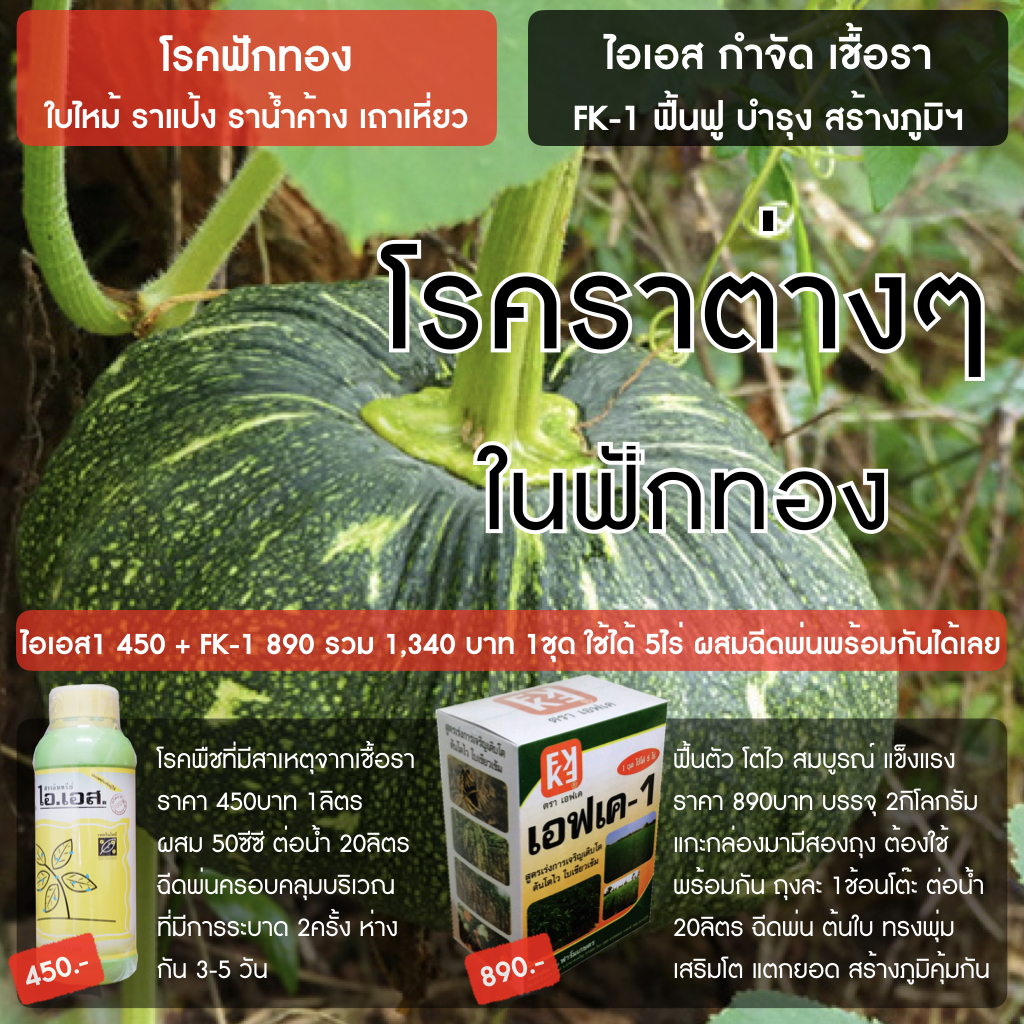 IS prevents and eliminates fungal diseases + FK-1 Liquid Fertilizer for Growth Acceleration - (Green) ราคา 1,340 บาท*ส่งฟรี