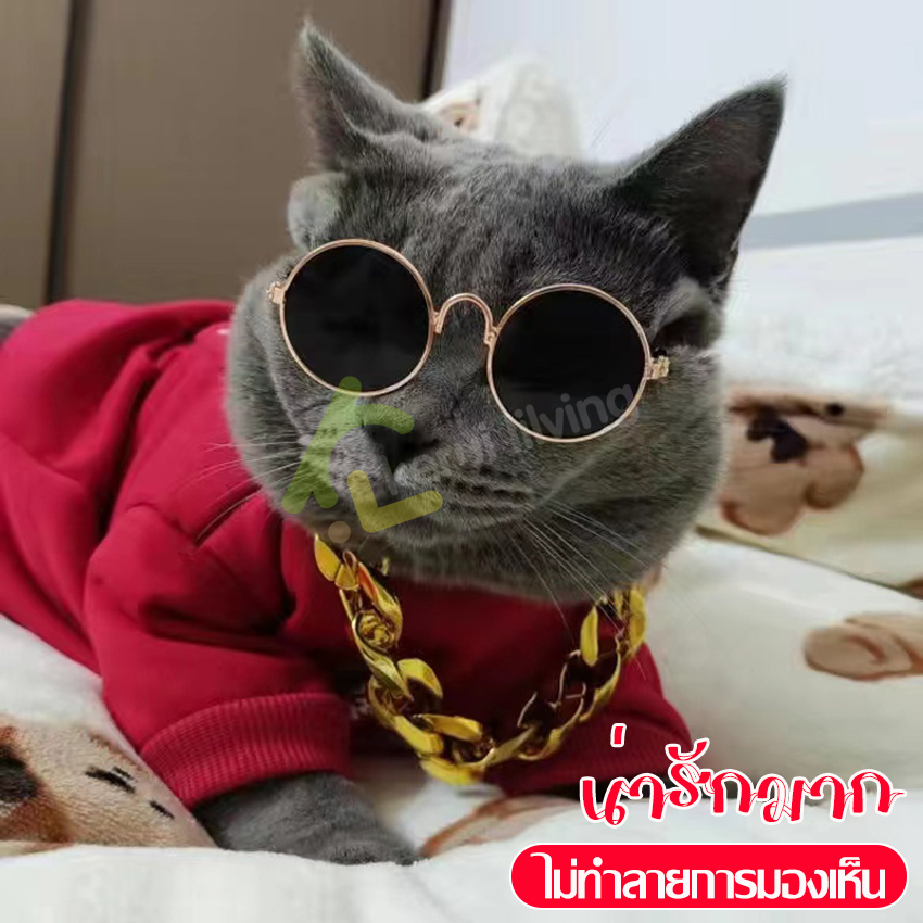 Cat eye glasses small cat eye glasses dog eye glasses pet glasses cute suitable for small size cat and dog glasses fashion pet glasses round glasses ราคา 35 บาท*ส่งฟรี
