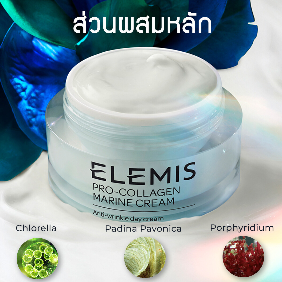 Elemis Pro-Collagen Marine Cream 50 ml.   ਹ չ   (ا˹ ,  , ЪѺ , º¹) | Lazada.co.th