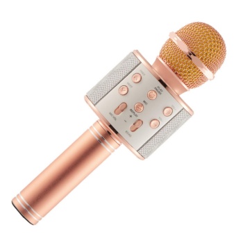 1688 thailand รุ่น WS-858 Microphones เครื่องเล่นคาราโอเกะ บลูทูธ ไร้สาย ไมโครโฟนคอนเดนเซอร์ ลำโพง ในตัวเดียว