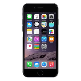 Apple iPhone 6 Plus 16 GB (Space Gray)