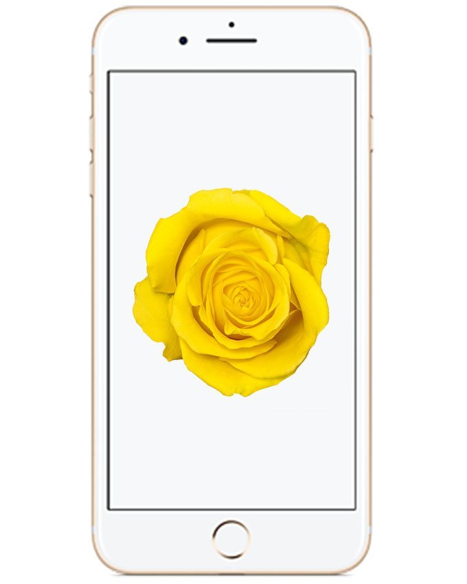 Apple iPhone 7 Plus 256GB (Gold) - Int'l Apple iPhone 7 Plus 256GB (Gold) - Int'l