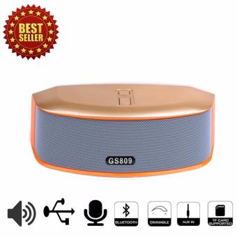 GS809 Bluetooth/SD/USB Speaker ลำโพงบลูทูธ สีทอง