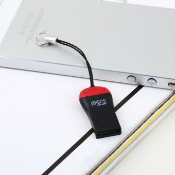 โอ้ USB 2.0 มินิไมโครเอสดีทีจ้า ถ้าเขา M2 m 2 อ่านการ์ดหน่วยความจำ 2จิกะไบต์ 4จิกะไบต์ 8จิกะไบต์ 16จิกะไบต์ โอ้ USB 2.0 มินิไมโครเอสดีทีจ้า ถ้าเขา M2 m 2 อ่านการ์ดหน่วยความจำ 2จิกะไบต์ 4จิกะไบต์ 8จิกะไบต์ 16จิกะไบต์