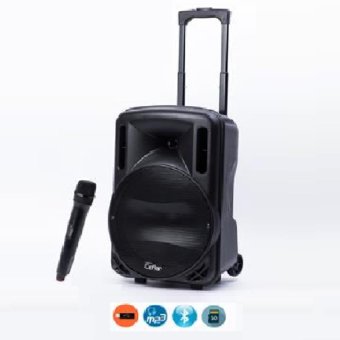 Ceflar ตู้ลำโพงขยายเสียง ล้อลาก12 นิ้ว+ไมค์ลอย USB/TF card BLUETOOTH 9000 W Ceflar ตู้ลำโพงขยายเสียง ล้อลาก12 นิ้ว+ไมค์ลอย USB/TF card BLUETOOTH 9000 W